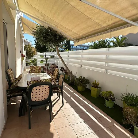 Willa Andy-350 M From The