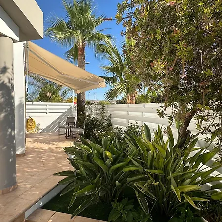 Andy-350 M From The * Larnaca