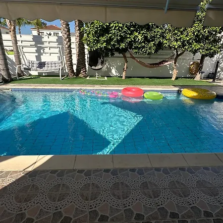 Willa Andy-350 M From The