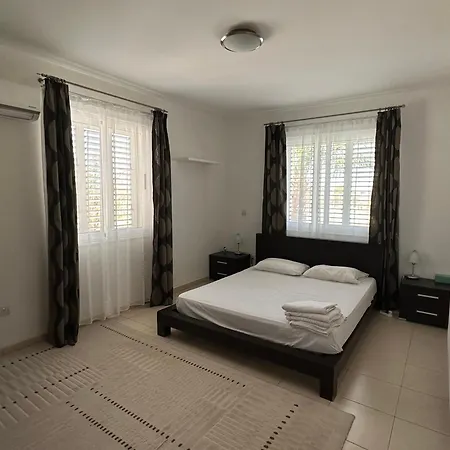 Andy-350 M From The Larnaca