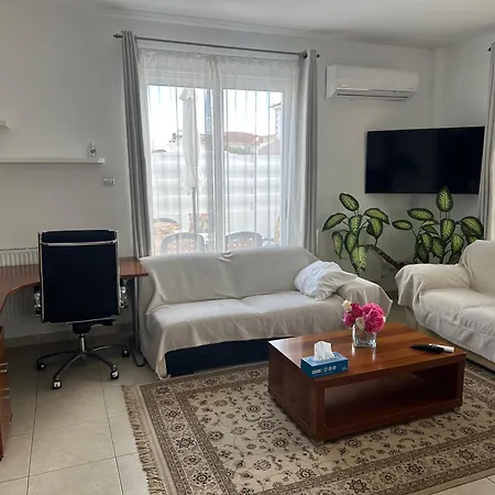 Andy-350 M From The Willa Larnaca