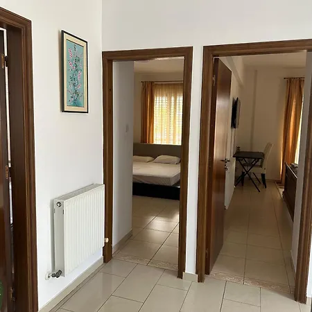 Willa Andy-350 M From The