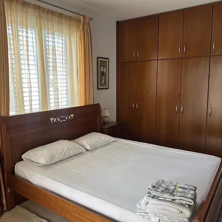 Willa Andy-350 M From The *