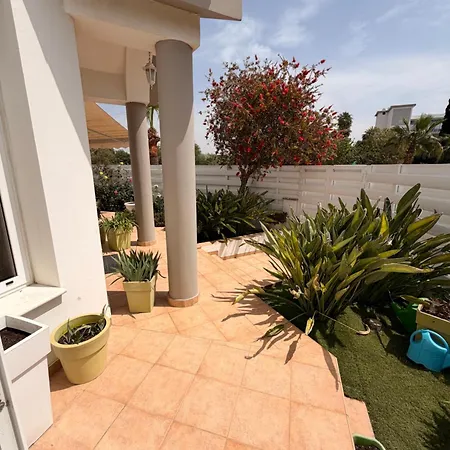 Andy-350 M From The Vila *